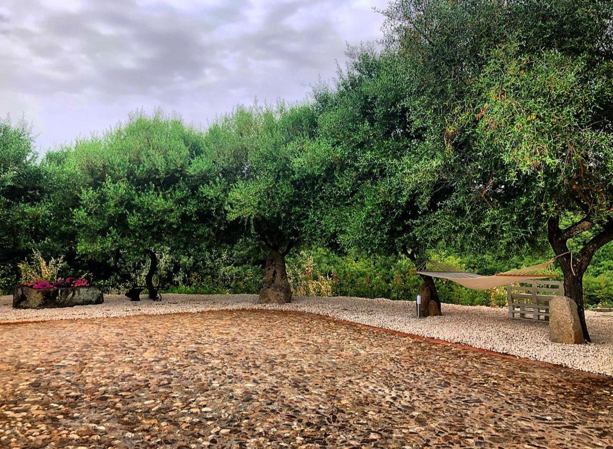 Casa Vacanza Centro Sardegna Sorgono Exteriör bild