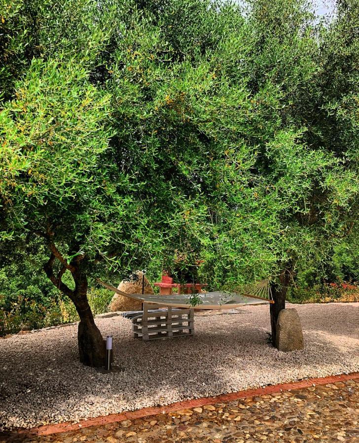 Casa Vacanza Centro Sardegna Sorgono Exteriör bild