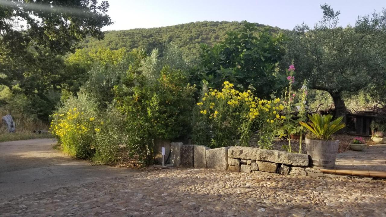 Casa Vacanza Centro Sardegna Sorgono Exteriör bild
