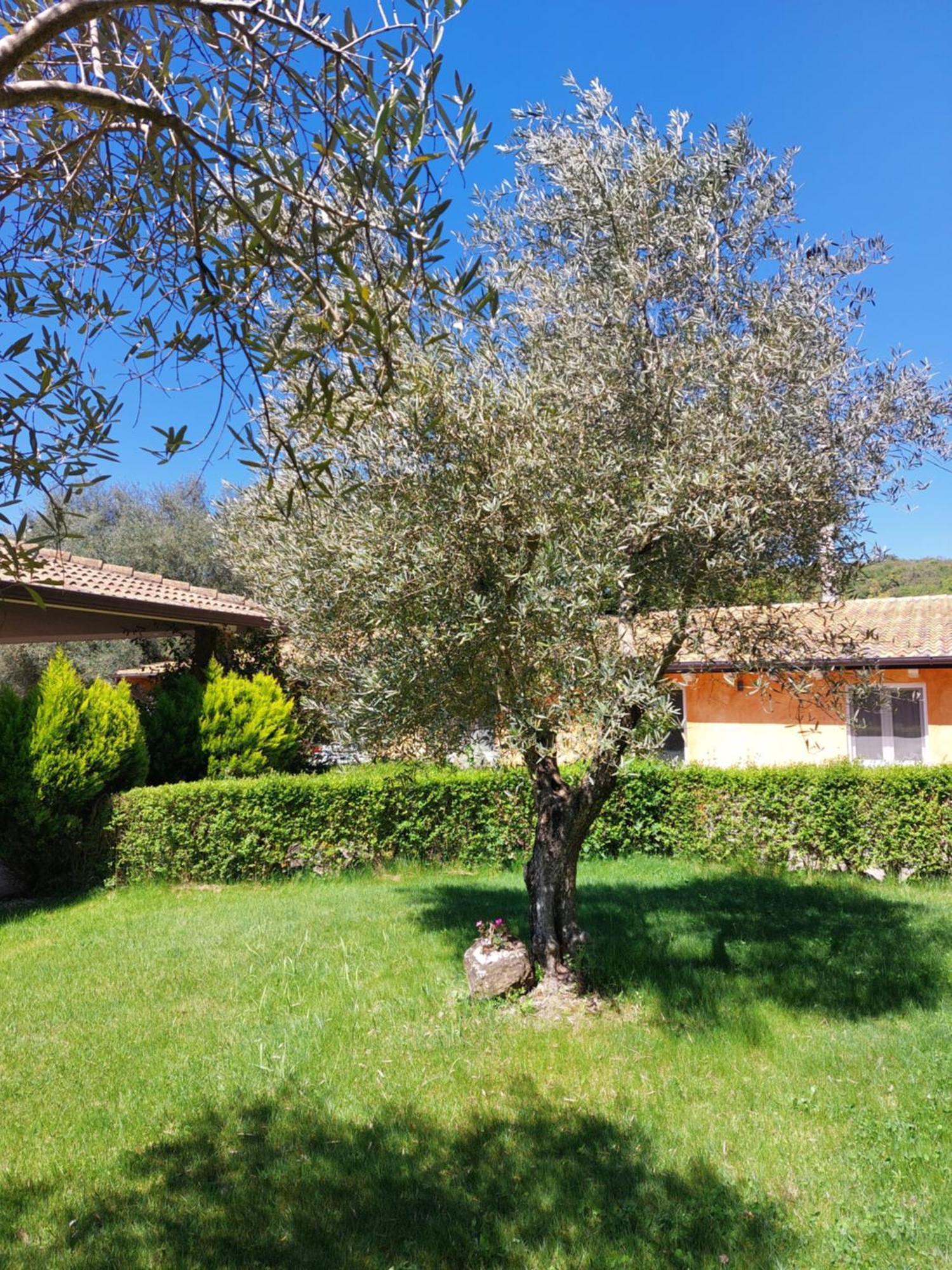 Casa Vacanza Centro Sardegna Sorgono Exteriör bild