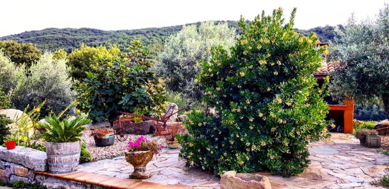Casa Vacanza Centro Sardegna Sorgono Exteriör bild