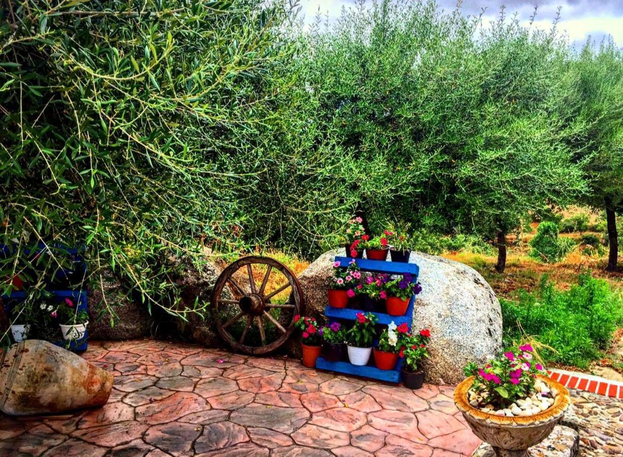 Casa Vacanza Centro Sardegna Sorgono Exteriör bild